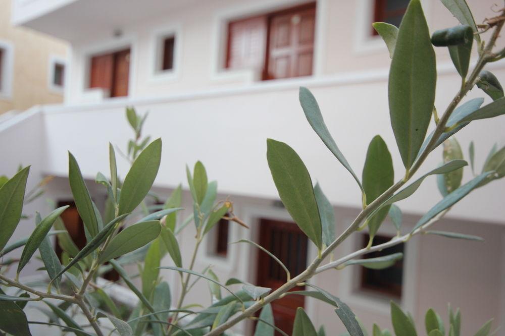 Zacharakis Aparthotel